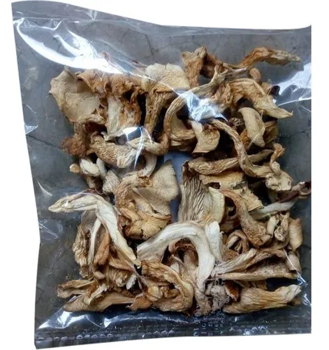 Buy Psilocybin Magic Mushrooms Online Denver