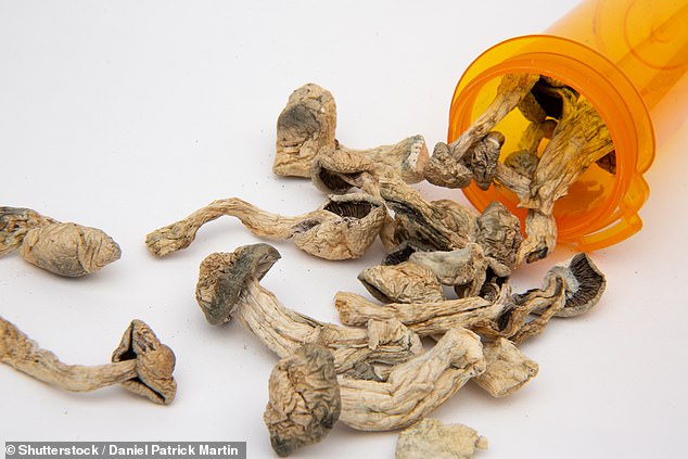 BUY BEST QUALITY MICRODOSE SHROOMS ONLINE 