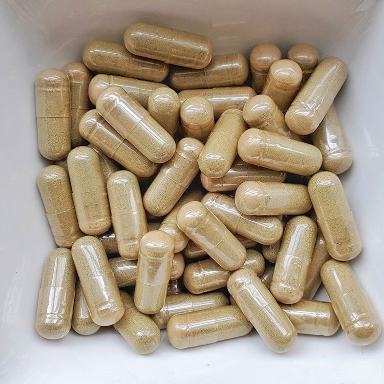 BUY BEST QUALITY MICRODOSE SHROOMS ONLINE 