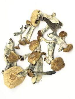 BUY PSYCHEDELIC DRUGS ONLINE USA 