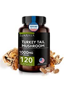 Buy Turkey Tail Mushroom Capsules Online