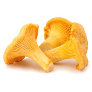 Buy Chanterelles Mushroom Online